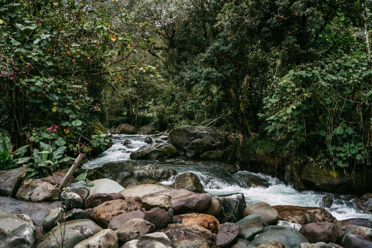 Trogon Lodge San Gerardo de Dota Kültér fotó