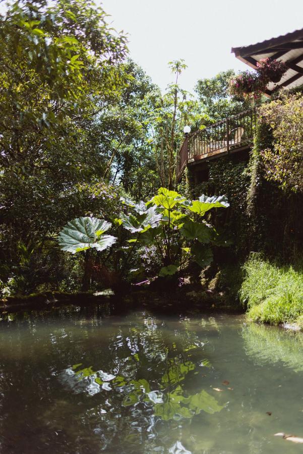 Trogon Lodge San Gerardo de Dota Kültér fotó