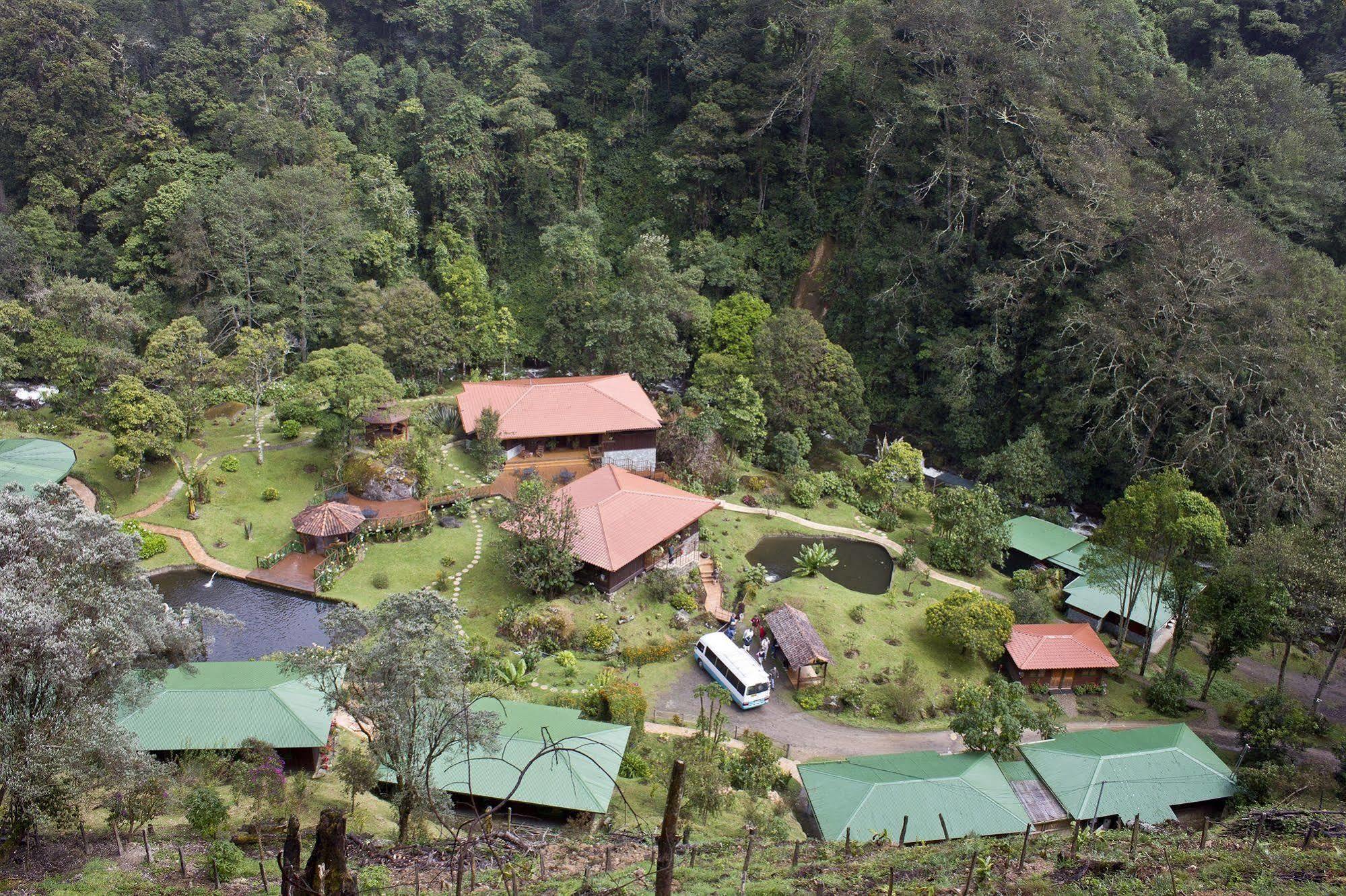 Trogon Lodge San Gerardo de Dota Kültér fotó